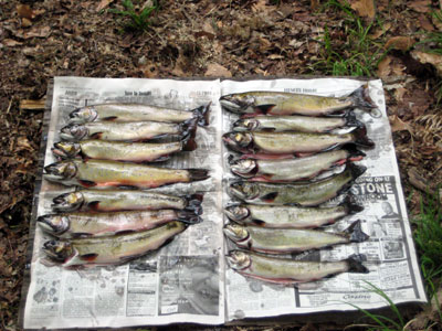 West Canada Creek Fishing